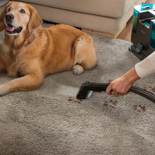 Cecotec Aspirapolvere Lava Tappeti Conga 3000 Carpetclean, 3in1:Spruzza, Pulisce e Aspira, 400W, 2 Serbatoi   Acqua Pulita e Sporca, Spruzzatore D'Acqua, Raggio D'Azione di 6M, Tubo Flessibile Da 1,2m : Amazon.it: Casa e cucina