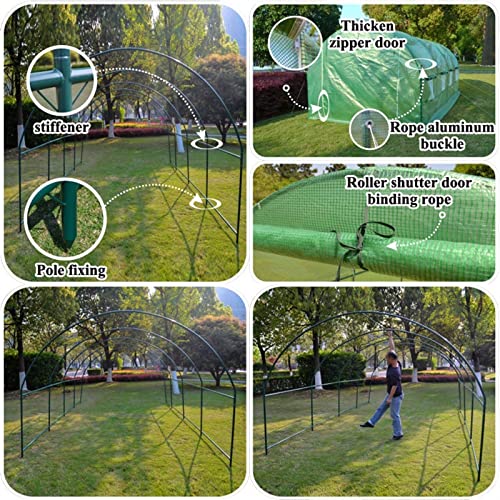 HOLGVE Grandi Serre per Piante a Tunnel Walk in, con Copertura, Porta con Cerniera e finestre avvolgibili, Tenda per Accessori da Giardino per Cortile, per Il Giardinaggio di Piante all'aperto : Amazon.it: Giardino e giardinaggio