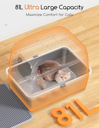 Meowant Lettiera Gatto in Acciaio Inox, Lettiere XXL, Nascosta Design Chiuso, Toilette Grande per Gatti di Grossa Taglia, Antiaderente, a Prova di Perdite, Staccabile e Facile da Pulire, Grigio : Amazon.it: Prodotti per animali domestici