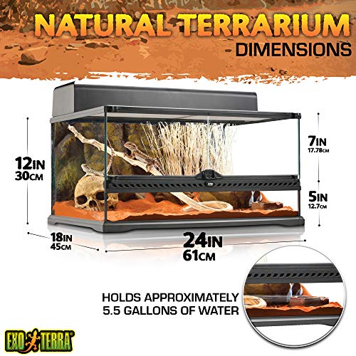 Exo Terra Terrario in vetro, con ventilazione frontale unica, 60 x 45 x 30 cm : Amazon.it: Prodotti per animali domestici