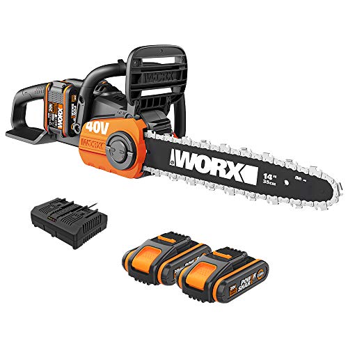 Worx WG384E   Motosega 220 V 2,0 Ah 2 bat, 40 V : Giardino e giardinaggio